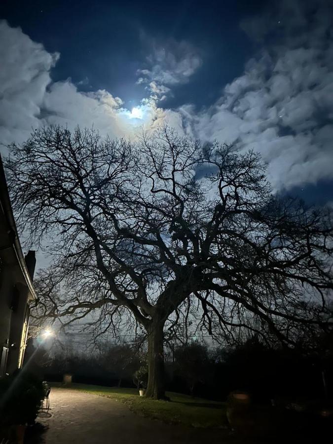 Podere Il Giurato Fauglia Eksteriør bilde