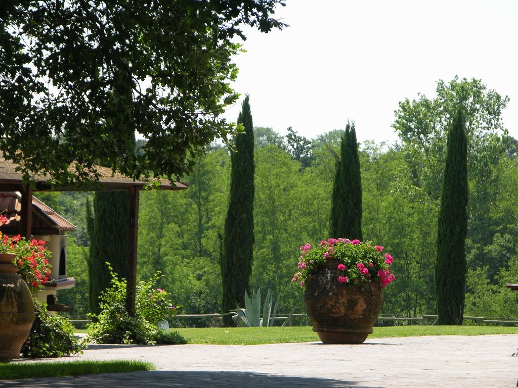 Podere Il Giurato Fauglia Eksteriør bilde