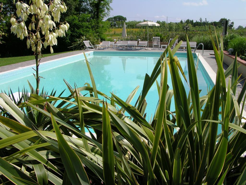 Podere Il Giurato Fauglia Eksteriør bilde